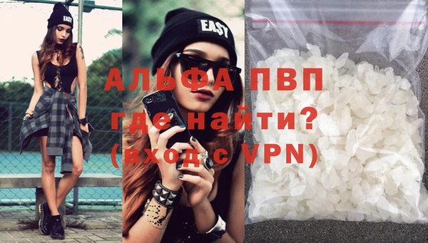 стаф Белокуриха