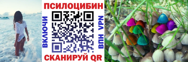 нарко площадка клад  blacksprut ССЫЛКА  Белокуриха  Псилоцибиновые грибы прущие грибы 